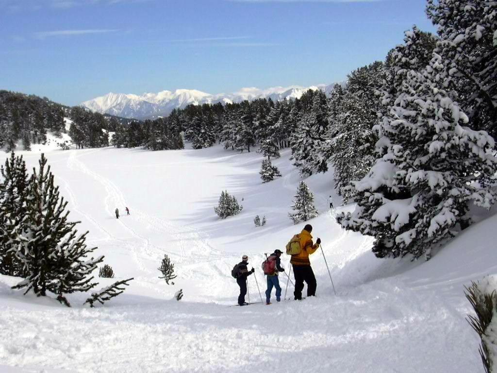 Le Chalet Du Ticou Bolquere Pyrenees 2000 Exterior foto